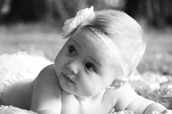 Enlarge photo 96