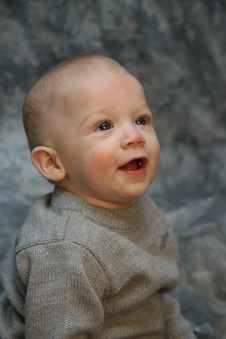 Enlarge photo 41