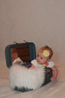 Enlarge photo 85