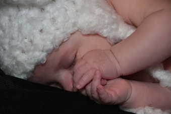 Enlarge photo 128