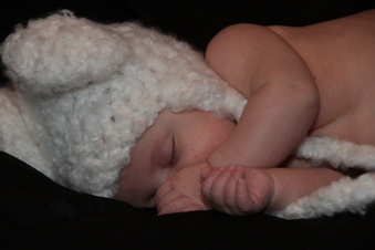 Enlarge photo 132