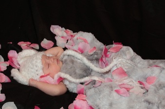 Enlarge photo 161