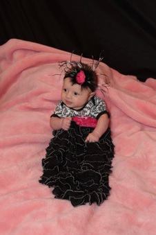 Enlarge photo 292