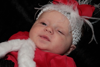 Enlarge photo 367