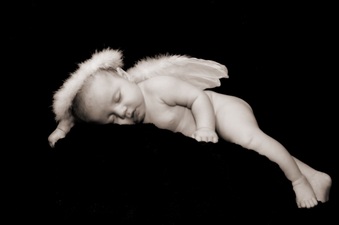 Enlarge photo 469