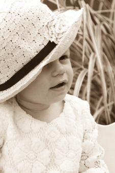 Enlarge photo 317
