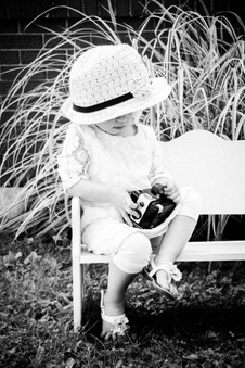 Enlarge photo 331
