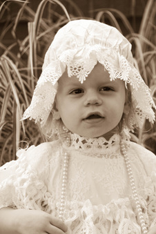 Enlarge photo 386