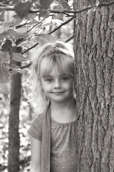 Enlarge photo 213