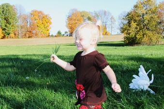 Enlarge photo 162