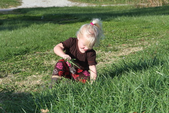 Enlarge photo 163