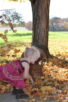 Enlarge photo 173