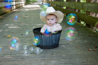 Enlarge photo 355