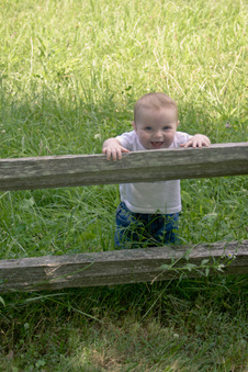 Enlarge photo 438