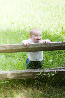 Enlarge photo 440