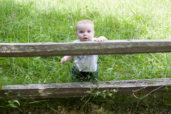 Enlarge photo 444