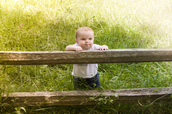 Enlarge photo 446