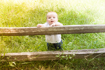 Enlarge photo 449