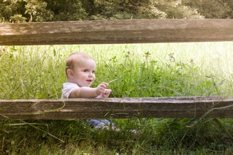Enlarge photo 453