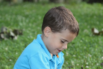 Enlarge photo 30