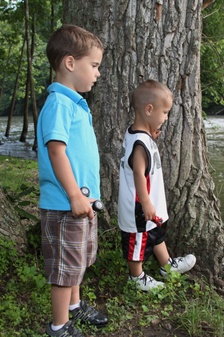 Enlarge photo 47