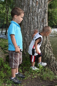 Enlarge photo 49