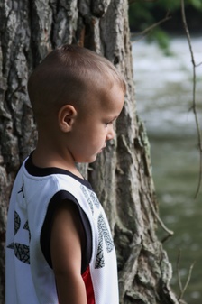 Enlarge photo 55