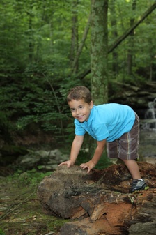 Enlarge photo 73