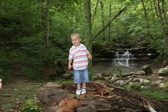 Enlarge photo 82