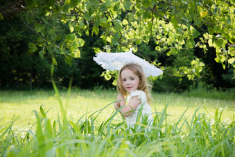 Enlarge photo 290