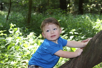 Enlarge photo 65