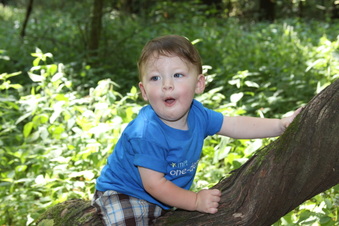 Enlarge photo 70