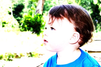 Enlarge photo 136