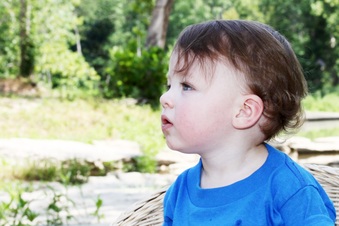 Enlarge photo 138