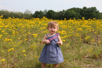 Enlarge photo 14