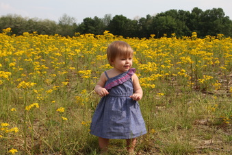 Enlarge photo 15