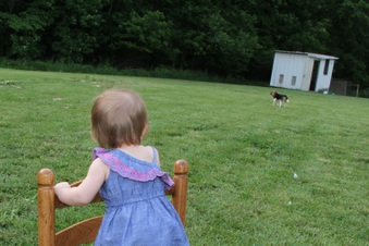 Enlarge photo 33