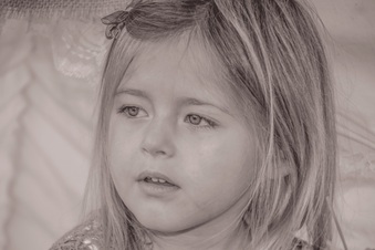 Enlarge photo 88