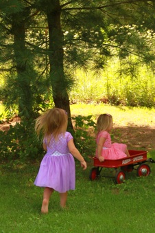 Enlarge photo 155