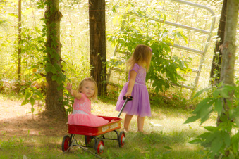 Enlarge photo 165