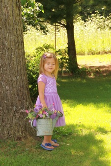 Enlarge photo 203