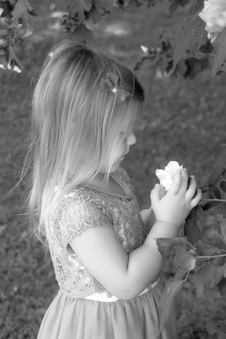 Enlarge photo 218