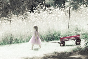 Enlarge photo 236