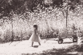 Enlarge photo 238