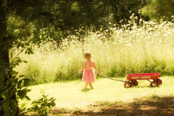Enlarge photo 239
