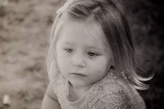 Enlarge photo 252