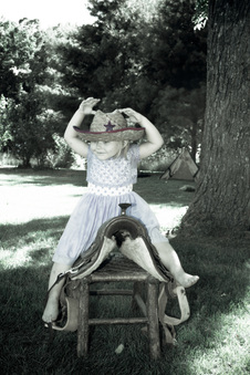 Enlarge photo 384