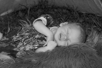 Enlarge photo 483