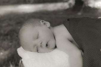 Enlarge photo 520