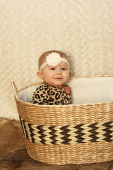 Enlarge photo 120